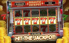 7bet55 7bet55